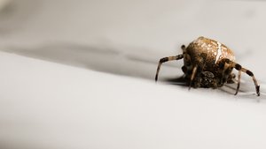 解读故障排查领域的最新变化